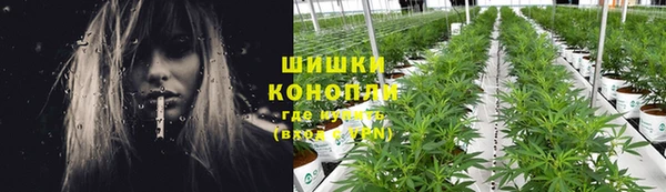 трава Аркадак