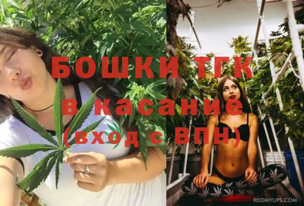 винт Армянск